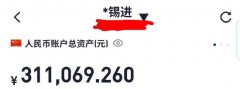 胡锡进：亏损额今天达到9050元，但我真的