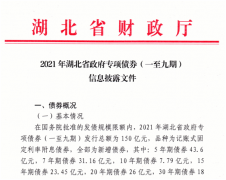 新增地方债要来了！湖北“首发”250亿，